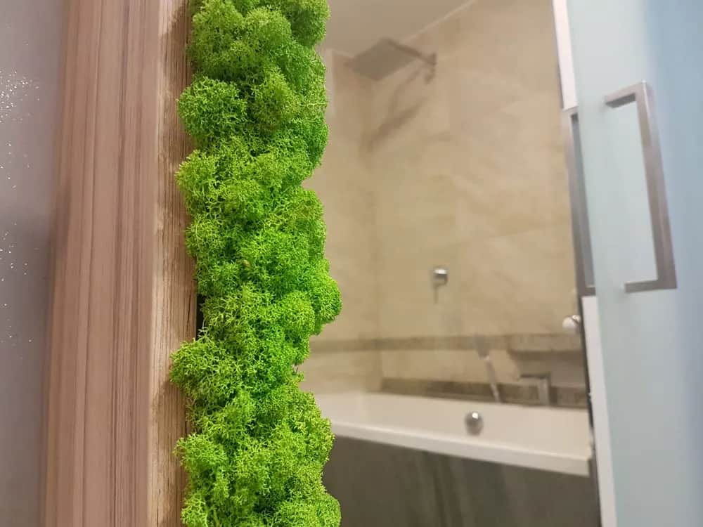 Jak dbać o mech dekoracyjny, aby zawsze wyglądał świeżo i zdrowo